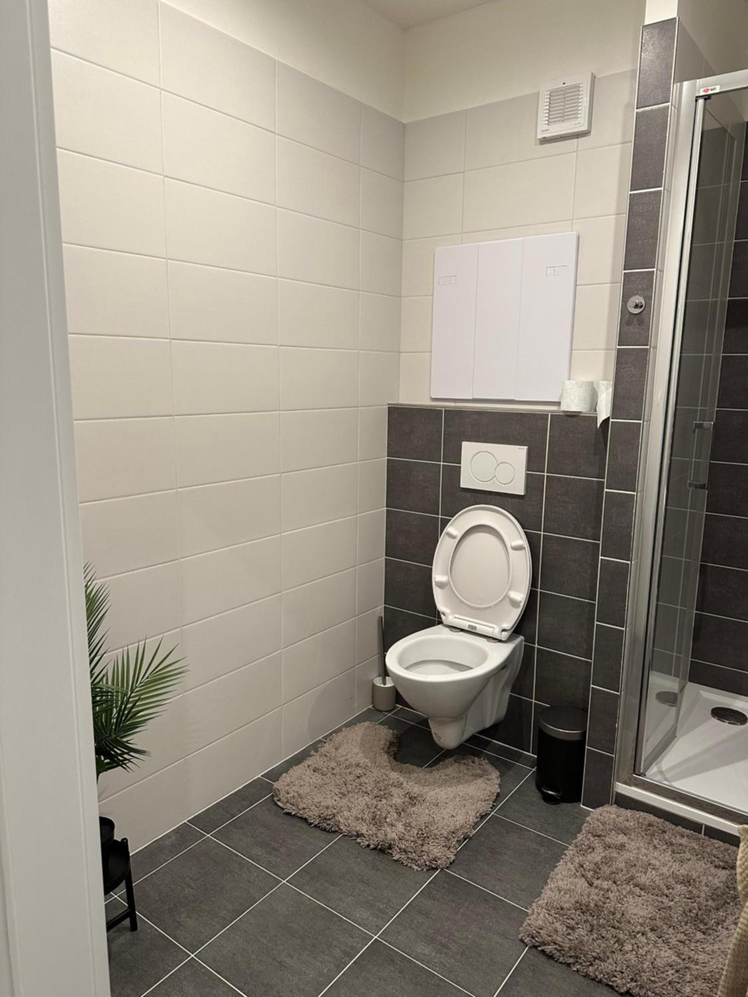 טאבור Apartman Palackeho מראה חיצוני תמונה